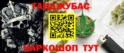 прущие грибы Камышлов