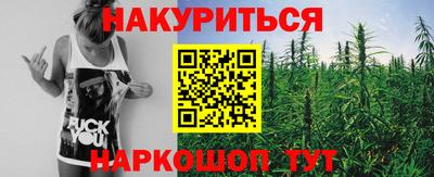 прущие грибы Камышлов