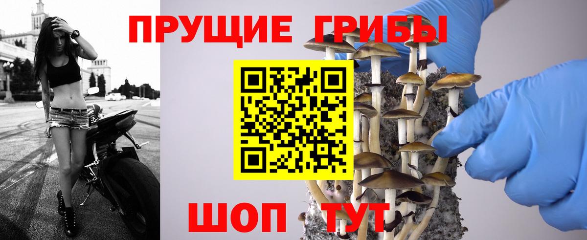 Галлюциногенные грибы Magic Shrooms  наркошоп  Лангепас  Вход с VPN 